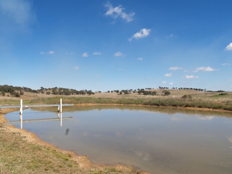 17 Bladwell Place, Goulburn NSW 2580