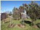 160 Addison Street, Goulburn NSW 2580