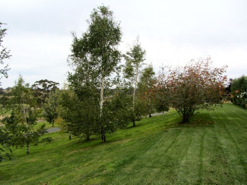 18 Loloma Place, Goulburn NSW 2580
