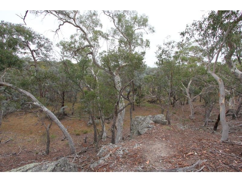 190 Winfarthing Road, Marulan NSW 2579