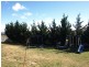 29 Crestwood Drive, Goulburn NSW 2580