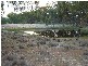 Golspie Road, Taralga NSW 2580