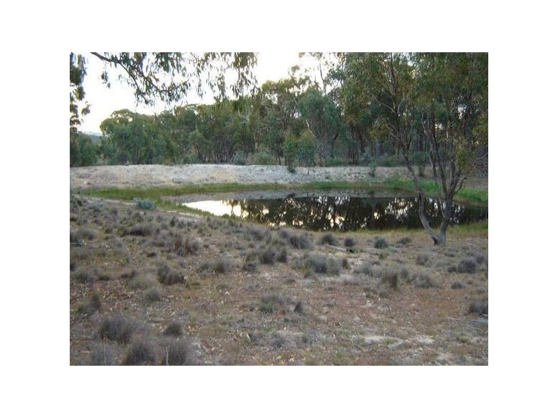 Golspie Road, Taralga NSW 2580