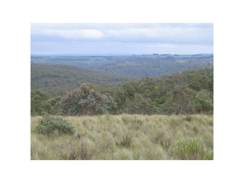 6397 Snake Gully Road, Taralga NSW 2580