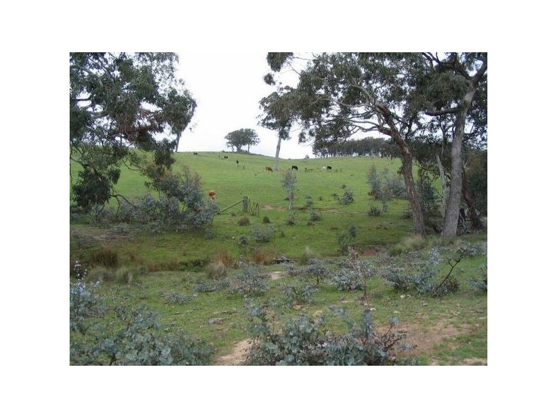 6397 Snake Gully Road, Taralga NSW 2580