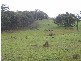 6397 Snake Gully Road, Taralga NSW 2580