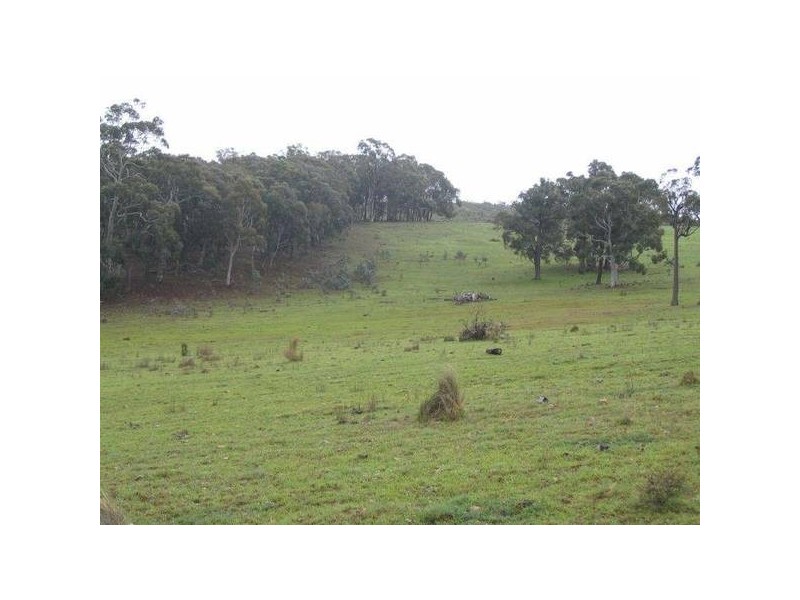6397 Snake Gully Road, Taralga NSW 2580