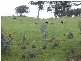6397 Snake Gully Road, Taralga NSW 2580