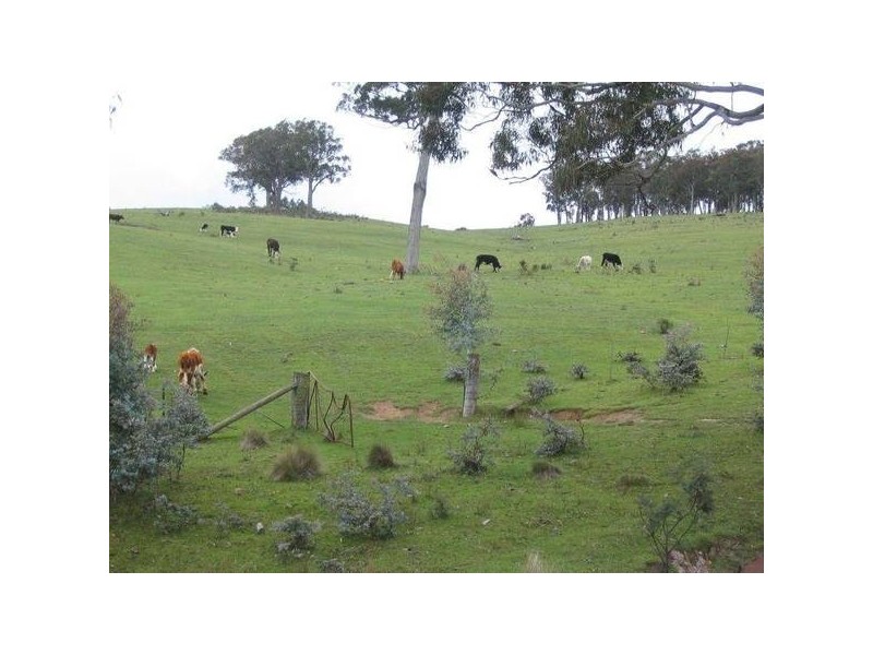 6397 Snake Gully Road, Taralga NSW 2580