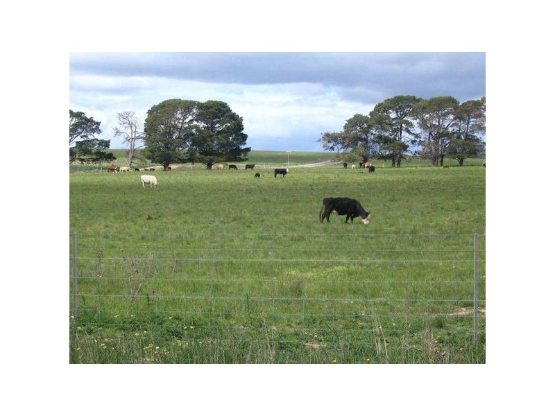 1-16 Painters Lane, Goulburn NSW 2580