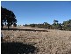 Lot 1 Golspie Road, Taralga NSW 2580
