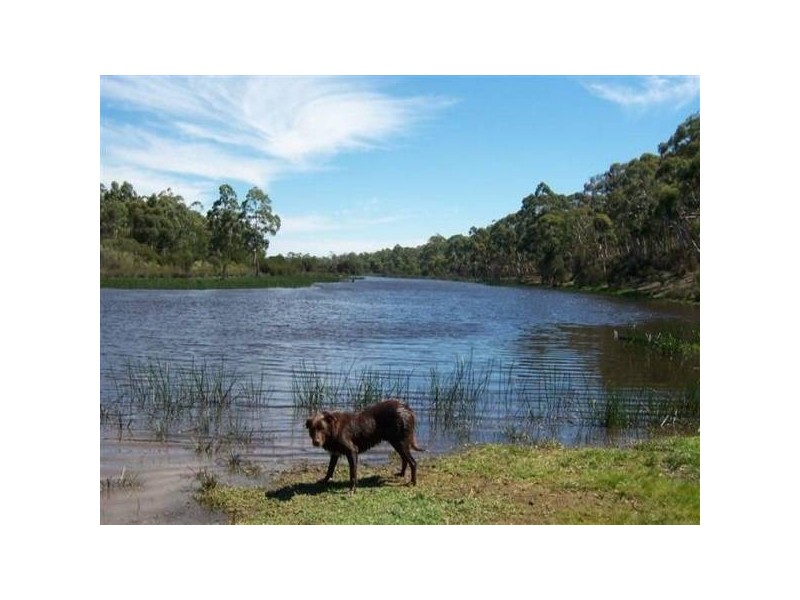 2814 Oallen Ford Road, Windellama NSW 2580