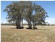 263 Middle Arm Road, Goulburn NSW 2580