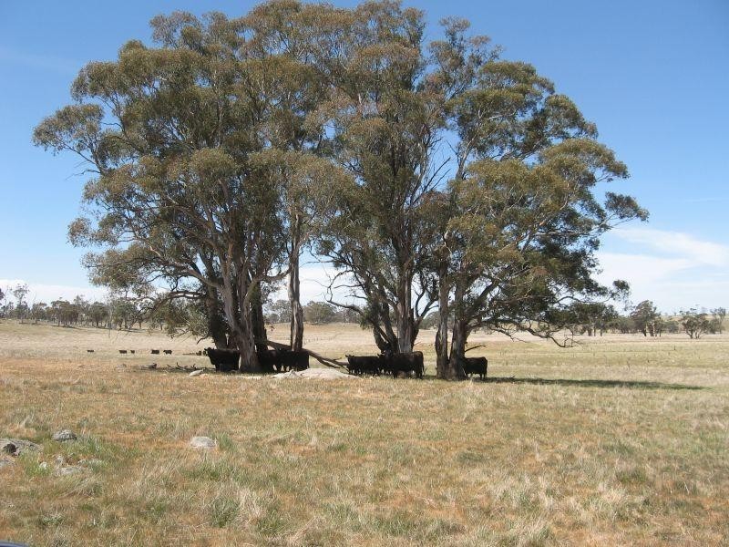 263 Middle Arm Road, Goulburn NSW 2580