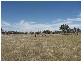 Middle Arm Road, Crookwell NSW 2583