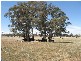 Middle Arm Road, Crookwell NSW 2583