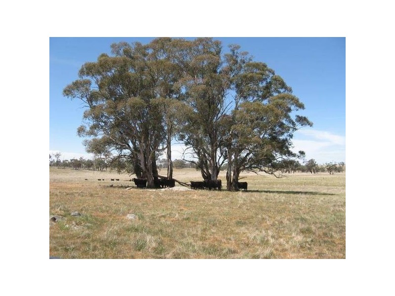 Middle Arm Road, Crookwell NSW 2583