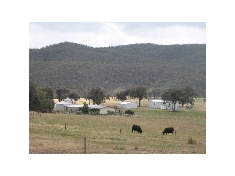 Middle Arm Road, Roslyn NSW 2580