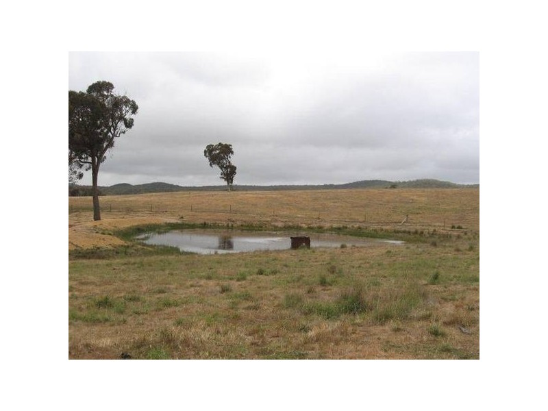 Middle Arm Road, Roslyn NSW 2580