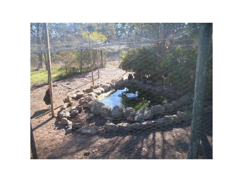 285 Gumnut Crescent, Bungonia NSW 2580