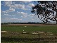 Thornford Road, Yarra NSW 2580