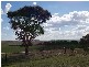 “Holly’s” 475 Thornford Road, Yarra Via, Goulburn NSW 2580