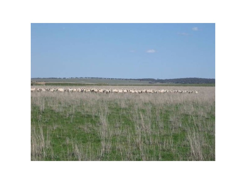 2 Painters Lane, Goulburn NSW 2580