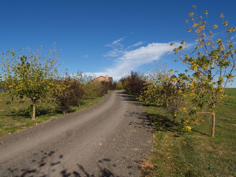 220 Steins Road, Goulburn NSW 2580