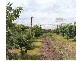 Roberts Road, Windellama NSW 2580