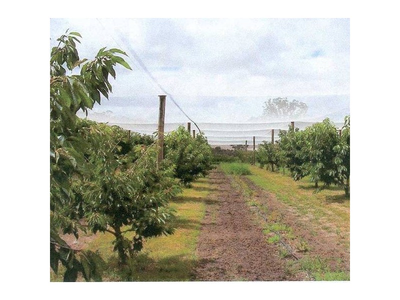 Roberts Road, Windellama NSW 2580