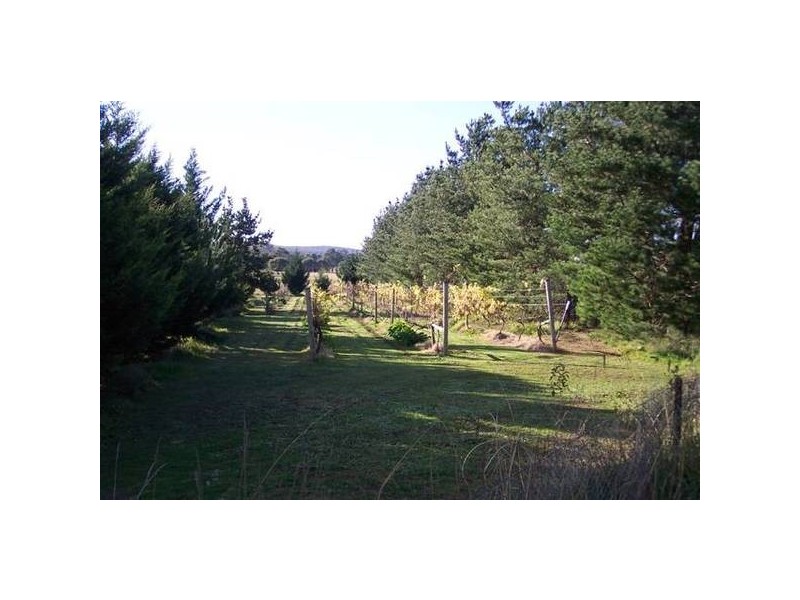 . Lumley Road, Bungonia NSW 2580