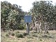 1517 Lumley Road, Windellama NSW 2580