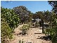 19 Dalmeny Lane, Goulburn NSW 2580