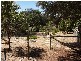 19 Dalmeny Lane, Goulburn NSW 2580