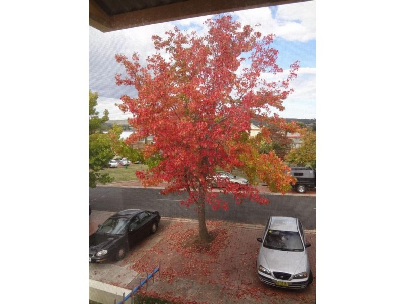 4/24 Church Street, Goulburn NSW 2580