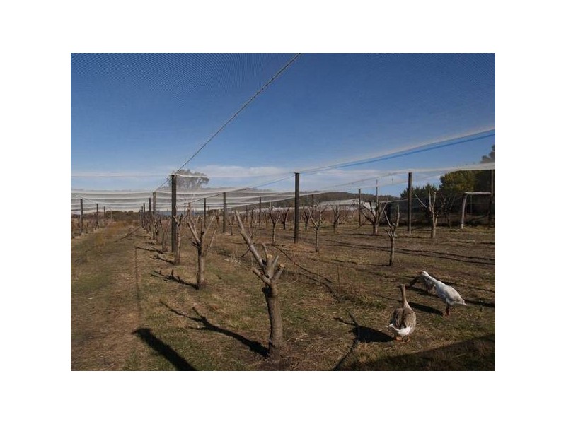 21 Roberts Road, Windellama NSW 2580