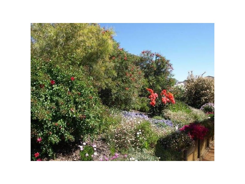 10 William Alfred Place, Goulburn NSW 2580