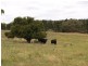 Tyrl Tyrl Road, Golspie Via, Goulburn NSW 2580