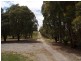 Tyrl Tyrl Road, Golspie Via, Goulburn NSW 2580
