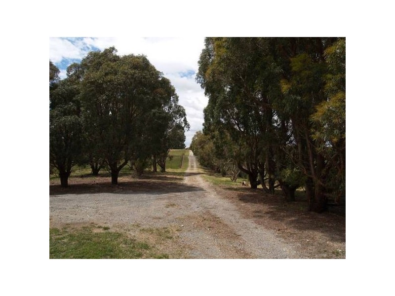 Tyrl Tyrl Road, Golspie Via, Goulburn NSW 2580