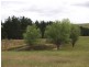 Tyrl Tyrl Road, Golspie Via, Goulburn NSW 2580