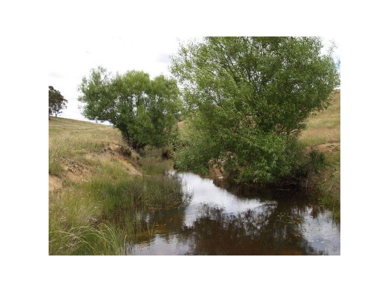 Tyrl Tyrl Road, Golspie Via, Goulburn NSW 2580