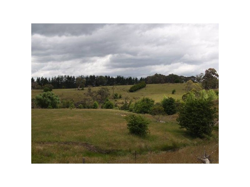 Tyrl Tyrl Road, Golspie Via, Goulburn NSW 2580