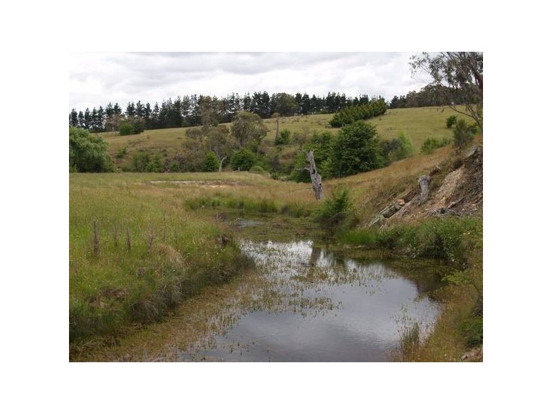 Tyrl Tyrl Road, Golspie Via, Goulburn NSW 2580
