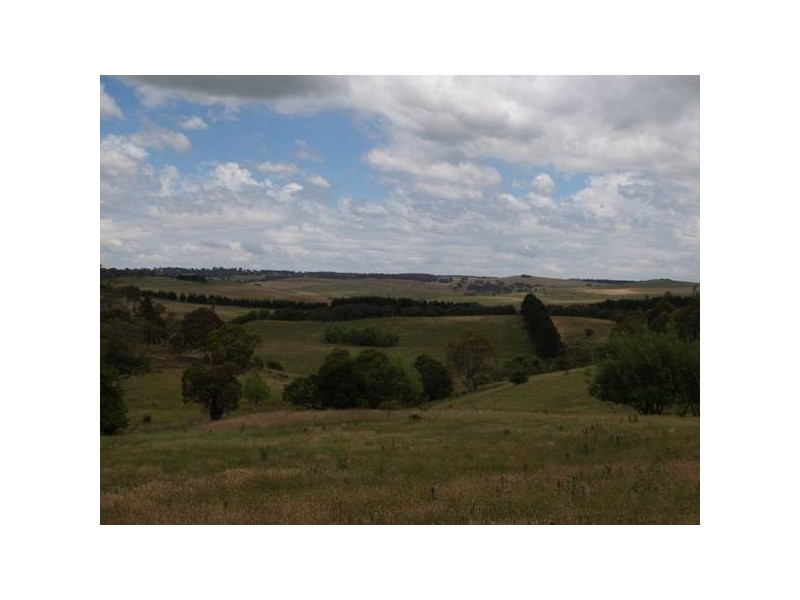 Tyrl Tyrl Road, Golspie Via, Goulburn NSW 2580