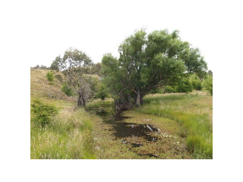 Tyrl Tyrl Road, Golspie Via, Goulburn NSW 2580