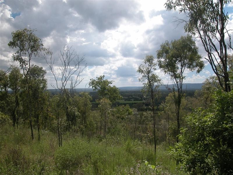 313 Emerald End Road, Mareeba QLD 4880