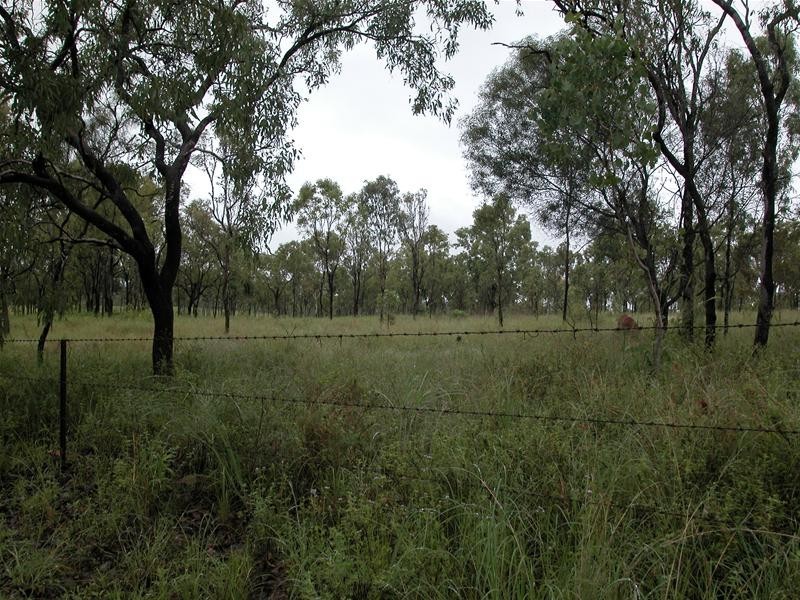 313 Emerald End Road, Mareeba QLD 4880