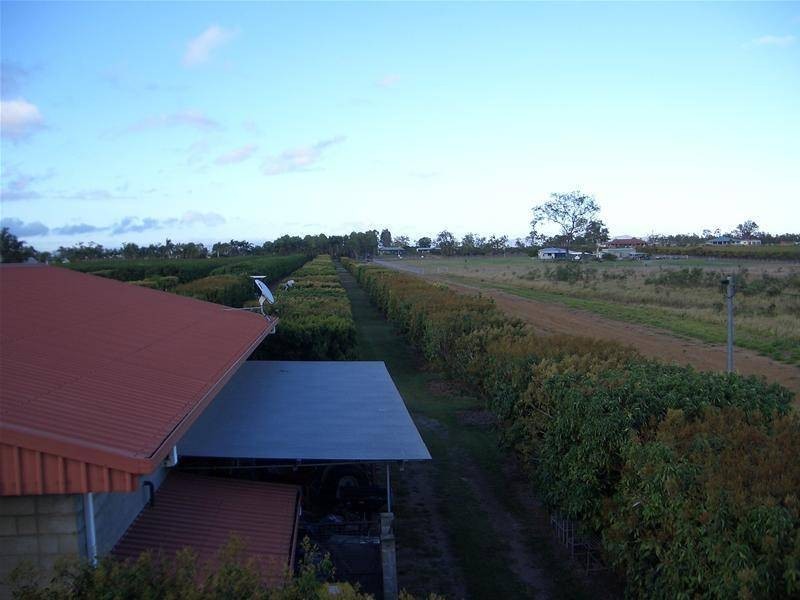 209 Malone Road, Mareeba QLD 4880