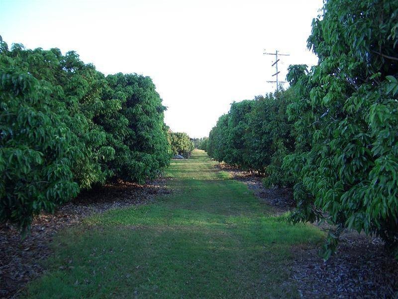 209 Malone Road, Mareeba QLD 4880